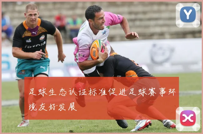足球生态认证标准促进足球赛事环境友好发展